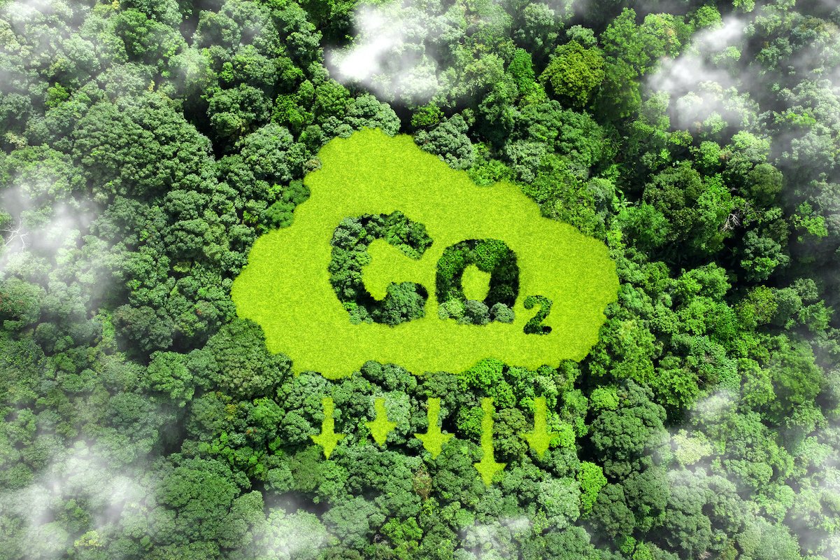 Perusahaan di Indonesia yang ingin melakukan perdagangan karbon wajib mengurus Sistem Registrasi Nasional Pengendalian Perubahan Iklim (SRN PPI).